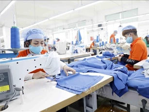 Niềm tin của doanh nghiệp về triển vọng kinh tế 12 tháng tới