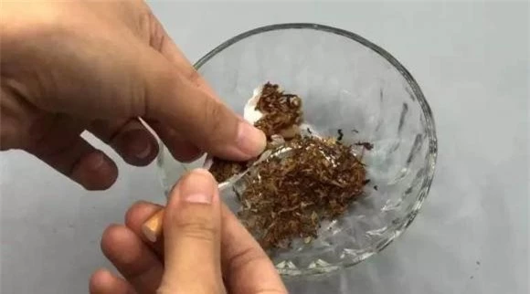 มด, วิธีกำจัดมด, เคล็ดลับที่เป็นประโยชน์