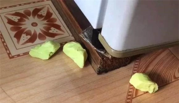 มด, วิธีกำจัดมด, เคล็ดลับที่เป็นประโยชน์