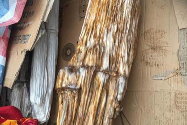 Người đàn ông vô tình phát hiện khúc gỗ lạ ven sông, tưởng đồ bỏ đi hóa ra là ‘báu vật’ của rừng trị giá hàng chục tỷ