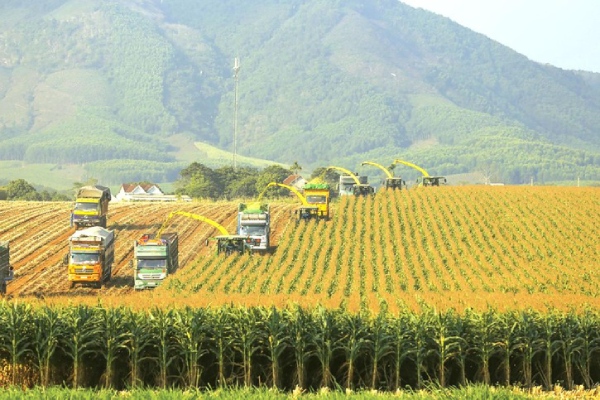 Doanh nghiệp thương hiệu quốc gia tiên phong trong chuyển đổi xanh