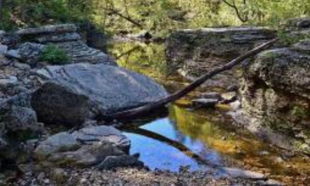 Tổ tiên chúng ta thường nói: “Nước trong thì không có cá”, nửa sau của câu là bản chất và sẽ dạy bạn cách ứng xử trên đời