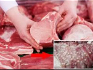 Mẹo nhận biết thịt bò, thịt lợn nhiễm giun sán cực đơn giản