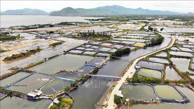 Kế hoạch thực hiện Quy hoạch vùng Bắc Trung Bộ và duyên hải miền Trung