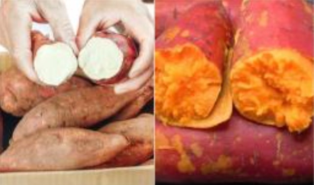 Khoai lang cũng có 'khoai lang đực' và 'khoai lang cái', củ nào ngon hơn? Lão nông dạy 3 mẹo nhỏ, khoai lang mua về sẽ mềm và ngọt