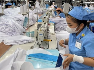 Chủ tịch VINASME: Giảm thuế xuống 15-17% chưa đủ hấp dẫn đối với doanh nghiệp nhỏ và siêu nhỏ