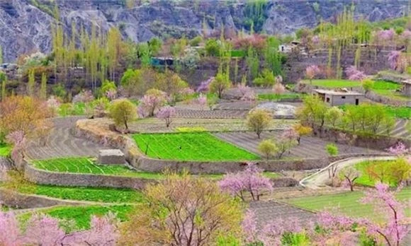 bộ tộc Hunza, phụ nữ Hunza sinh con dù ngoài 60 tuổi, người Hunza sống thọ đến 160 tuổi , người Burusho