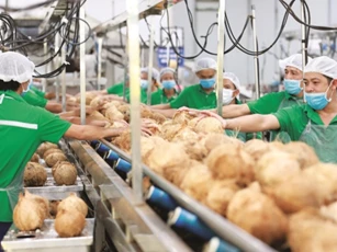 Giải pháp mấu chốt phát triển tài chính xanh