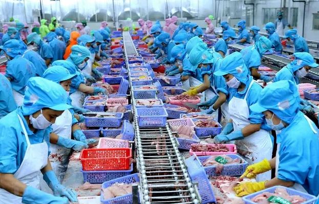 Xuất khẩu sang Anh: Giải bài toán thương hiệu để nâng cao thị phần