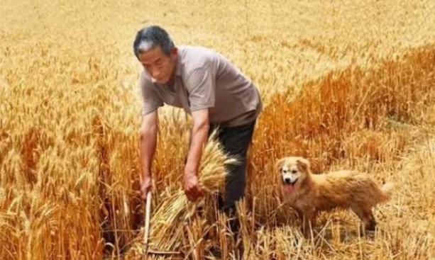 'Đàn ông sợ tháng tám, đàn bà sợ tháng mười hai âm lịch' nghĩa là gì? Tại sao đàn ông sợ tháng 8? Vấn đề ở đây là gì?