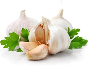 Cách sử dụng các loại gia vị không thể thiếu cho món ăn ngon
