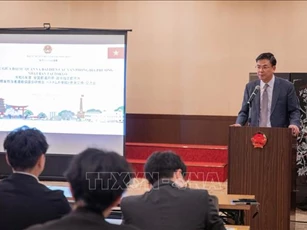 Thúc đẩy hợp tác toàn diện giữa các địa phương của Nhật Bản với Việt Nam