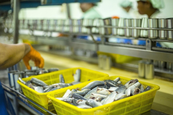 VASEP: Doanh nghiệp thuỷ sản đối diện nhiều vướng mắc về chính sách, thủ tục hành chính

