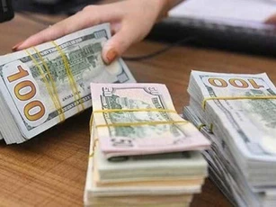 Giá ngoại tệ ngày 5/11/2024: Đồng USD giảm giá trước bầu cử Tổng thống Mỹ