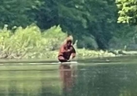 Tiết lộ hình ảnh chân thực nhất về quái vật Bigfoot từng khiến cả thế giới chao đảo