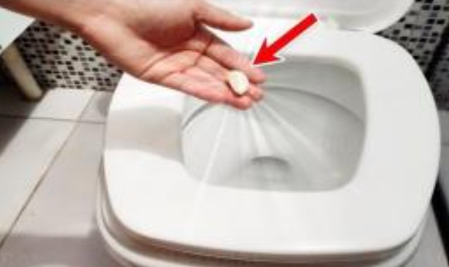 Bỏ tỏi vào bồn cầu để qua đêm, sáng ra kết quả khiến nhiều người kinh ngạc, ai biết cũng vội học làm theo