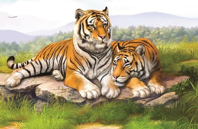 Tử vi tuổi Dần tháng 11/2024: Cát tinh chiếu mệnh, vận trình thăng hoa