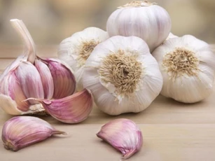 Mẹo hay giúp bảo quản đồ khô trong bếp không bị ẩm mốc
