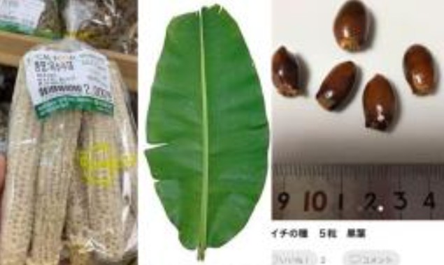 Ở Việt Nam 5 thứ này 'cho không ai lấy' nhưng lại được bán với giá cao ở nước ngoài