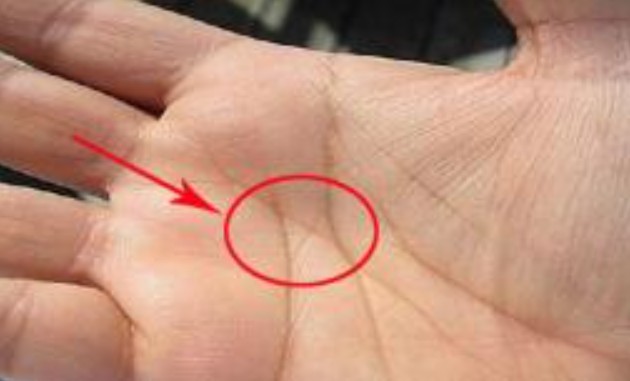 Nam hay nữ có 4 dấu hiệu này trong lòng bàn tay chứng tỏ có số phú quý giàu sang