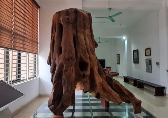 Hai cha con ở Quảng Bình đi đánh cá từng vớt được khúc gỗ thuộc loại đắt nhất thế giới: Nặng 2,1 tấn, giá 17 tỷ