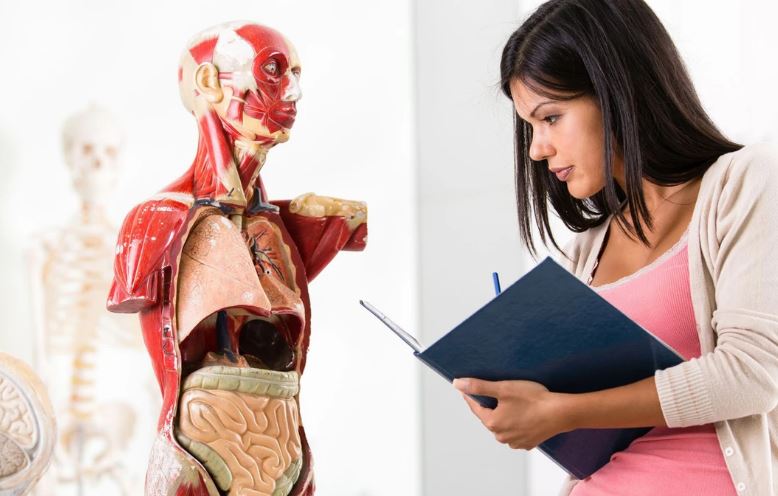 Khoa học tìm ra cách nhấn nút "tạm dừng" đối với sự sống con người