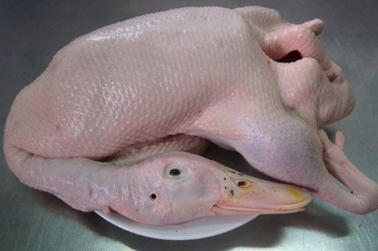 Mẹo hay giúp nhổ lông vịt và làm sạch vịt nhanh nhất