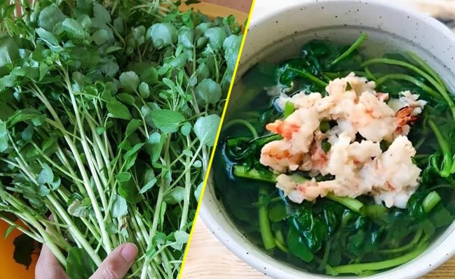 Nó được xem là loại rau 'tốt nhất thế giới' của Mỹ, hóa ra vô cùng quen thuộc trong bữa cơm người Việt