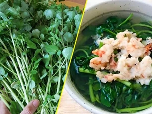 Nó được xem là loại rau 'tốt nhất thế giới' của Mỹ, hóa ra vô cùng quen thuộc trong bữa cơm người Việt