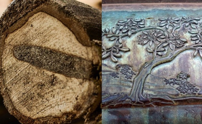 Loạt gỗ quý xuất hiện trên Cửu Đỉnh nhà Nguyễn: Từ gỗ lim cho tới trầm hương, ngày nay lại càng đắt đỏ