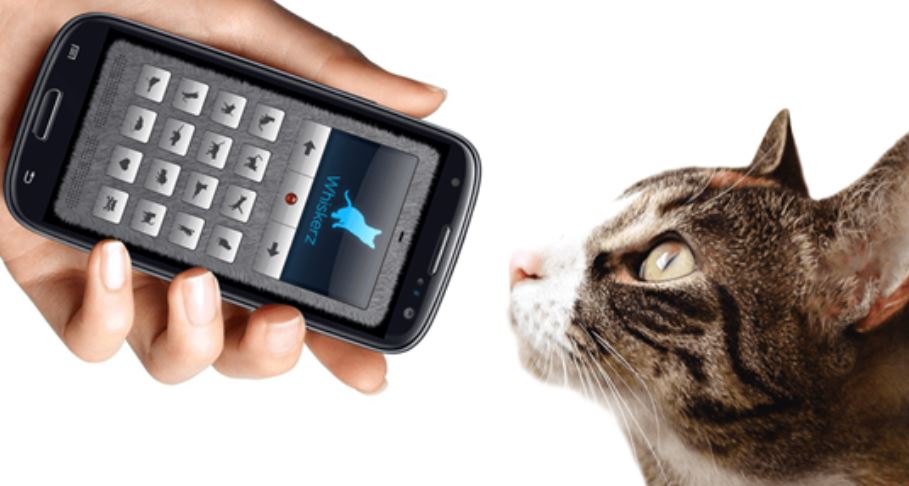 Công cụ đặc biệt giúp con người hiểu được tiếng động vật