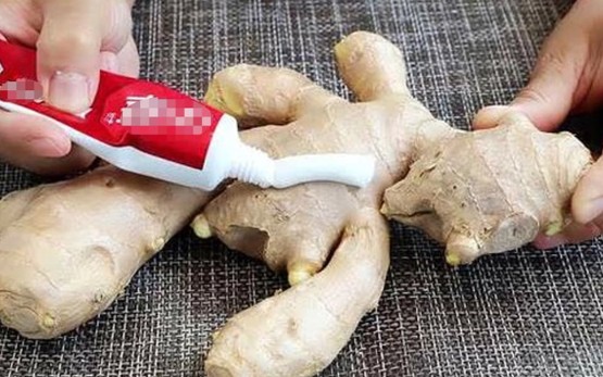 Bóp kem đánh răng lên gừng sẽ mang đến rất nhiều điều kỳ diệu, không ít bà nội trợ vẫn chưa biết