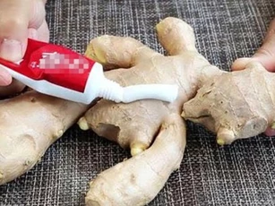 Bóp kem đánh răng lên gừng sẽ mang đến rất nhiều điều kỳ diệu, không ít bà nội trợ vẫn chưa biết
