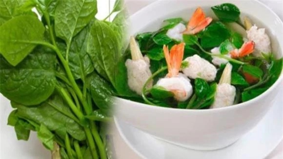 Rau mồng tơi,mồng tơi được gọi là vua rau,lợi ích của rau mồng tơi