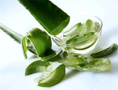 Lô hội cũng là một trong những vị thuốc tự nhiên chữa bệnh đau dạ dày hiệu quả Lô hội cũng là một trong những vị thuốc tự nhiên chữa bệnh đau dạ dày hiệu quả