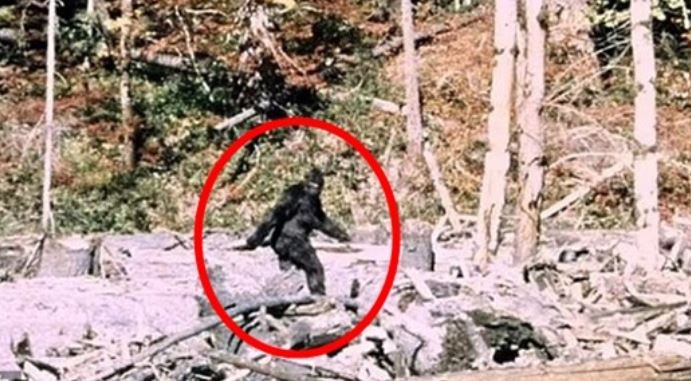 Ti&#x1EBF;ng &#x27;&#xF2;a&#x27; v&#xE0; ti&#x1EBF;ng h&#xE9;t c&#x1EE7;a sinh v&#x1EAD;t b&#xED; &#x1EA9;n k&#xE9;o d&#xE0;i su&#x1ED1;t 10 ph&#xFA;t khi&#x1EBF;n c&#x1EA3; ng&#xF4;i l&#xE0;ng &#xE1;m &#x1EA3;nh