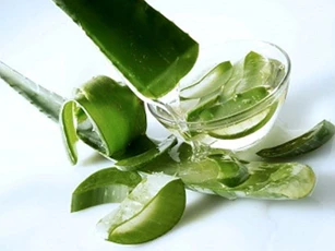 Những cách chữa bệnh đau dạ dày tại nhà hiệu quả