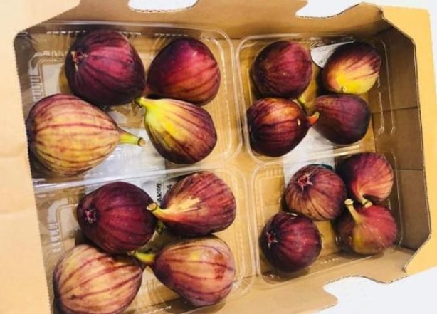 Loại quả mọc đầy bờ ao, ở Việt Nam rẻ như cho nhưng nhiều người 'sính ngoại' bỏ tới 2 triệu đồng để mua 1kg hàng xách tay