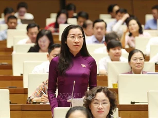 Có phương án phù hợp để người dân, doanh nghiệp tiếp cận nhanh vốn vay ưu đãi phục hồi kinh tế