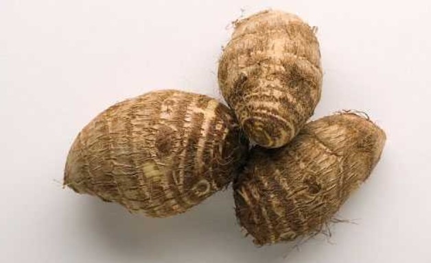 Khoai sọ lại có tác dụng thần kỳ cho những căn bệnh u bướu