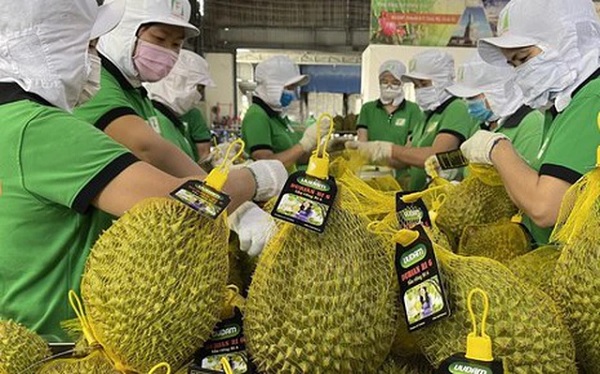 Xuất khẩu rau quả ước đạt 7,5 tỷ USD, Trung Quốc chiếm tới 70%