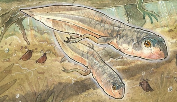 Sinh vật lạ nguyên vẹn sau 161 triệu năm, chân tướng gây sốc