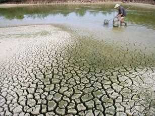 ADB cam kết tài trợ cho ứng phó quyết đoán và sáng tạo chống biến đổi khí hậu