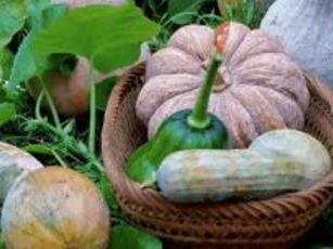 Món ăn này chứa đầy “báu vật”, nhuận phổi, dưỡng dạ dày, lại rẻ, tiếc là nhiều người không biết ăn