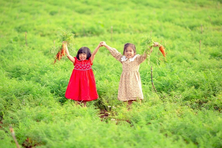 Điểm du lịch có sản phẩm du lịch canh nông “Avocado Farm” (xã Quảng Lập, huyện Đơn Dương) vừa được công nhận trong năm 2024.