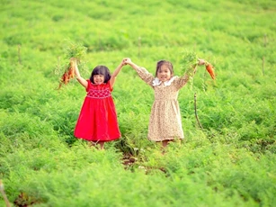 Lâm Đồng: ‘Thời cơ vàng’ để doanh nghiệp phát triển du lịch canh nông