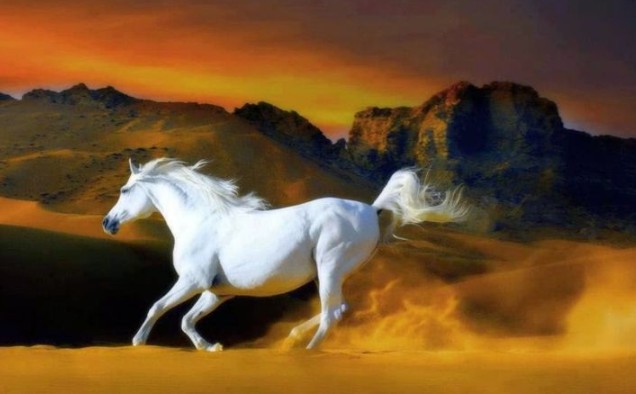 T&#x1EED; vi tu&#x1ED5;i Ng&#x1ECD; th&#xE1;ng 11/2024: C&#x1EA9;n tr&#x1ECD;ng &#x111;&#x1EC3; b&#xEC;nh an, &#x111;i&#x1EC1;u h&#xF2;a &#x111;&#x1EC3; th&#xE0;nh c&#xF4;ng