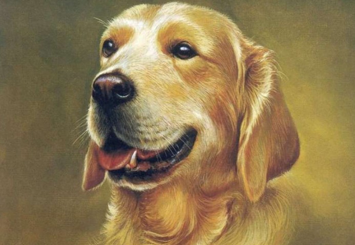 T&#x1EED; vi ng&#xE0;y 15/11/2024 cho 12 con gi&#xE1;p: Tu&#x1ED5;i Tu&#x1EA5;t &#x111;&#xF3;n tin vui, tu&#x1ED5;i T&#xFD; g&#x1EB7;p may m&#x1EAF;n trong s&#x1EF1; nghi&#x1EC7;p