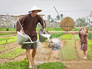 Quảng Nam: Làng rau Trà Quế được công nhận “Làng du lịch tốt nhất” năm 2024