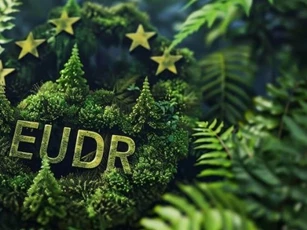 EU có thể lùi triển khai quy định EUDR, tạo điều kiện cho doanh nghiệp